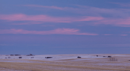 Screen Shot 2015-11-01 at 10.04.28 PM